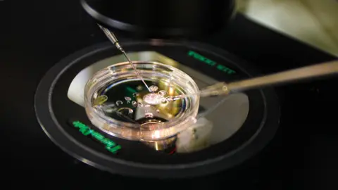 Breakthrough in Reproductive Science: Embryos Created from Human Skin DNA