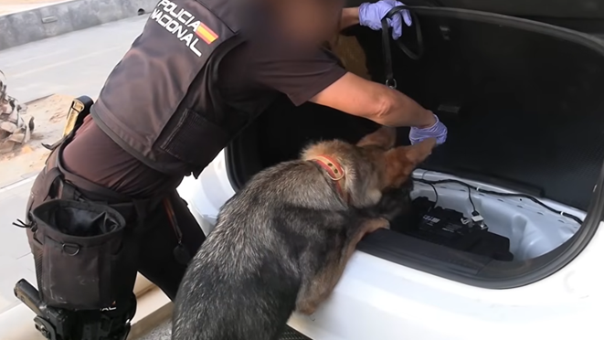 Spanish police dismantle mega smuggling network involving drugs, migrants and guns, arresting 78 suspects