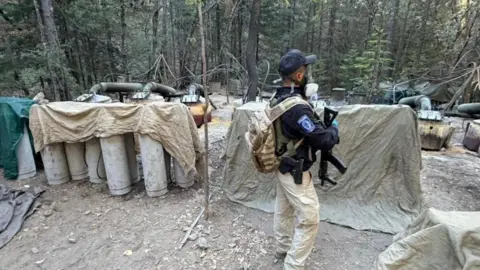 Mexico Clarifies US Agents' Status Following Fatal Crash