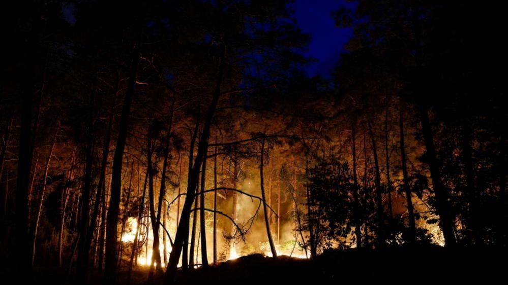 Paris Wildfire: Planes Sent to Tackle 'Exceptionally Large' Blaze Near Fontainebleau