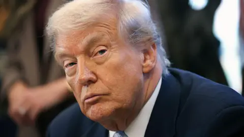 Trump Greenlights Release of Epstein Files Amid Controversy