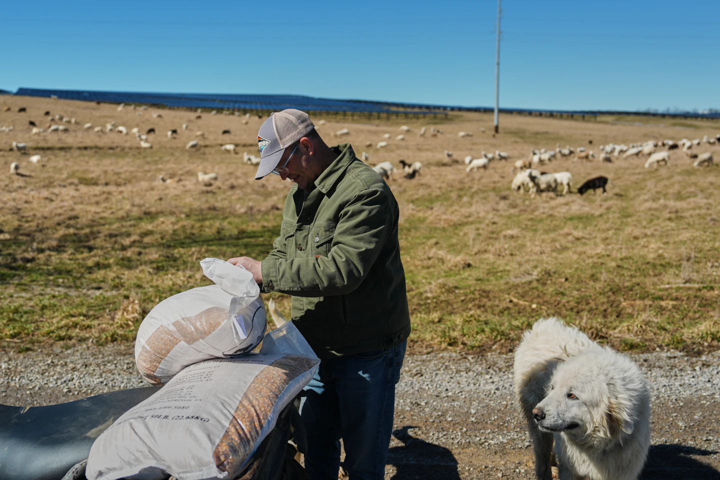 Farmers Struggle Amid Changes to Renewable Energy Policies