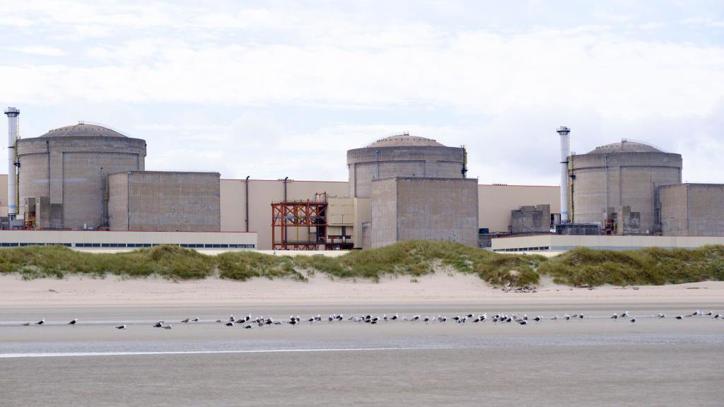Jellyfish Swarm Forces Partial Shutdown of France’s Gravelines Nuclear Plant