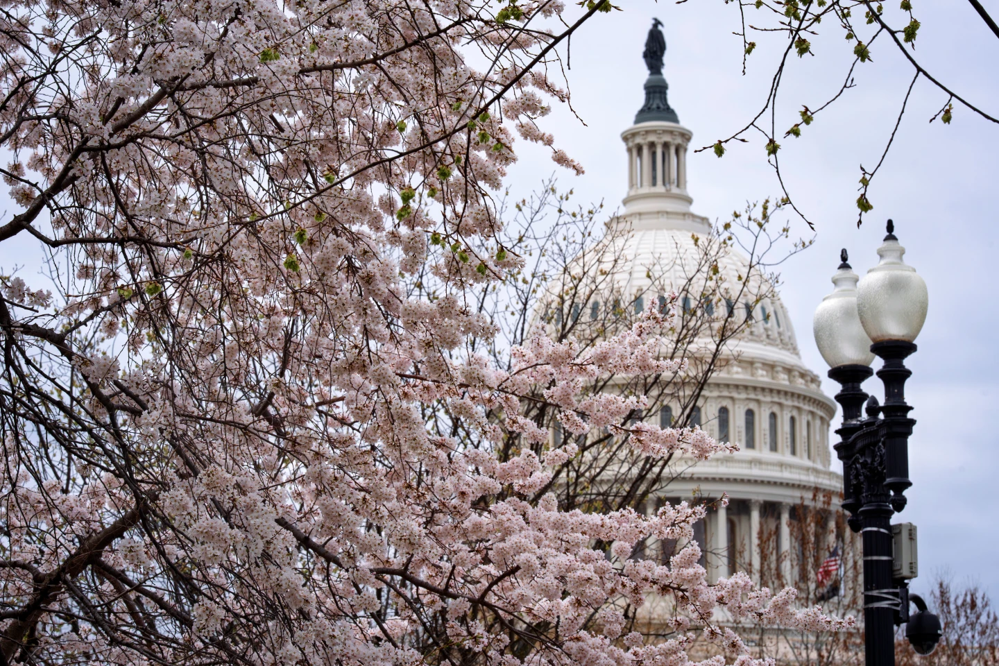 Senate Republicans Seek to Reopen Homeland Security Amid Ongoing Shutdown