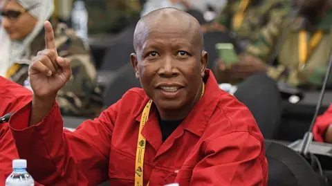 The Future of Julius Malema: Navigating Politics Post-Prison Sentence