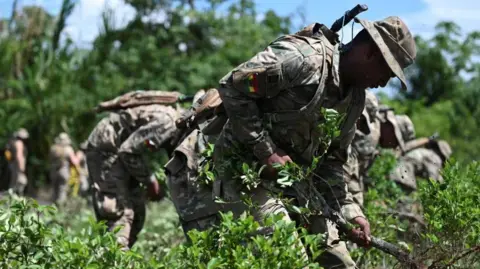 Bolivia Signs $20 Million US Deal to Fight Drug Trafficking