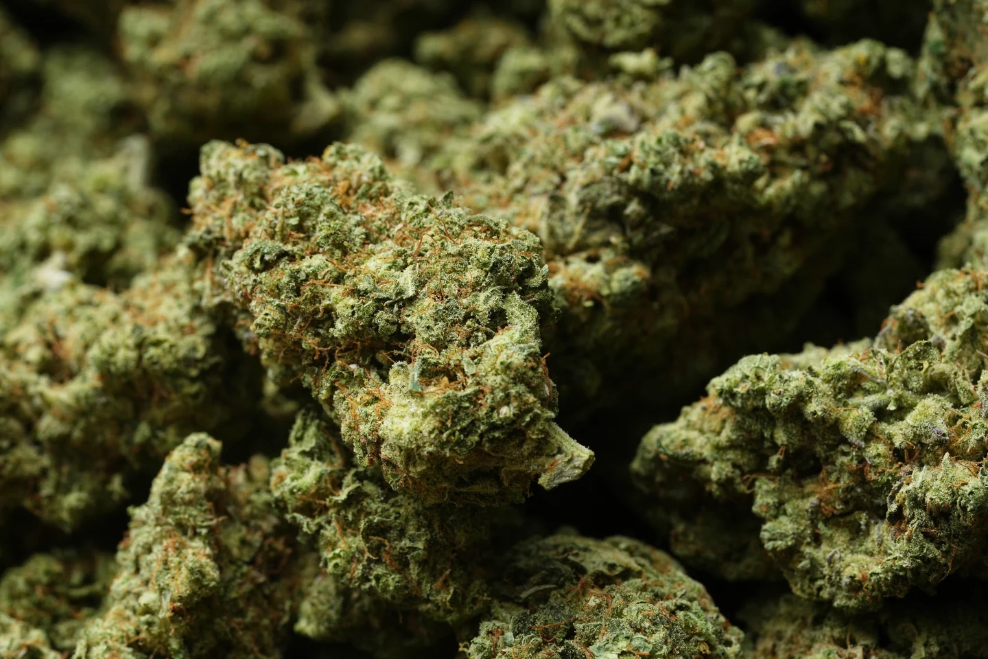Historic Shift in Cannabis Regulation: Trump Reclassifies Medical Marijuana