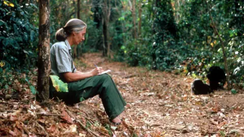 Remembering Jane Goodall: The Legacy of a Legend in Conservation