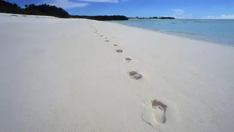 Assumption Island: A Tiny Plot in the Seychelles Election Showdown