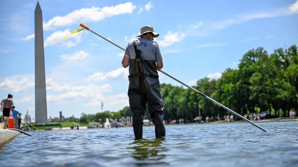 Trump vows immediate repairs on algae‑plagued Reflecting Pool