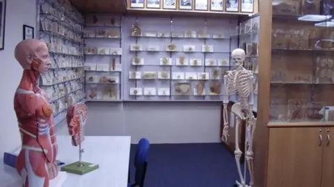 Tasmanian Government Issues Apology Over Stolen Body Parts Scandal