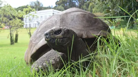 Jonathan, World’s Oldest Known Tortoise, Passes Away at 193
