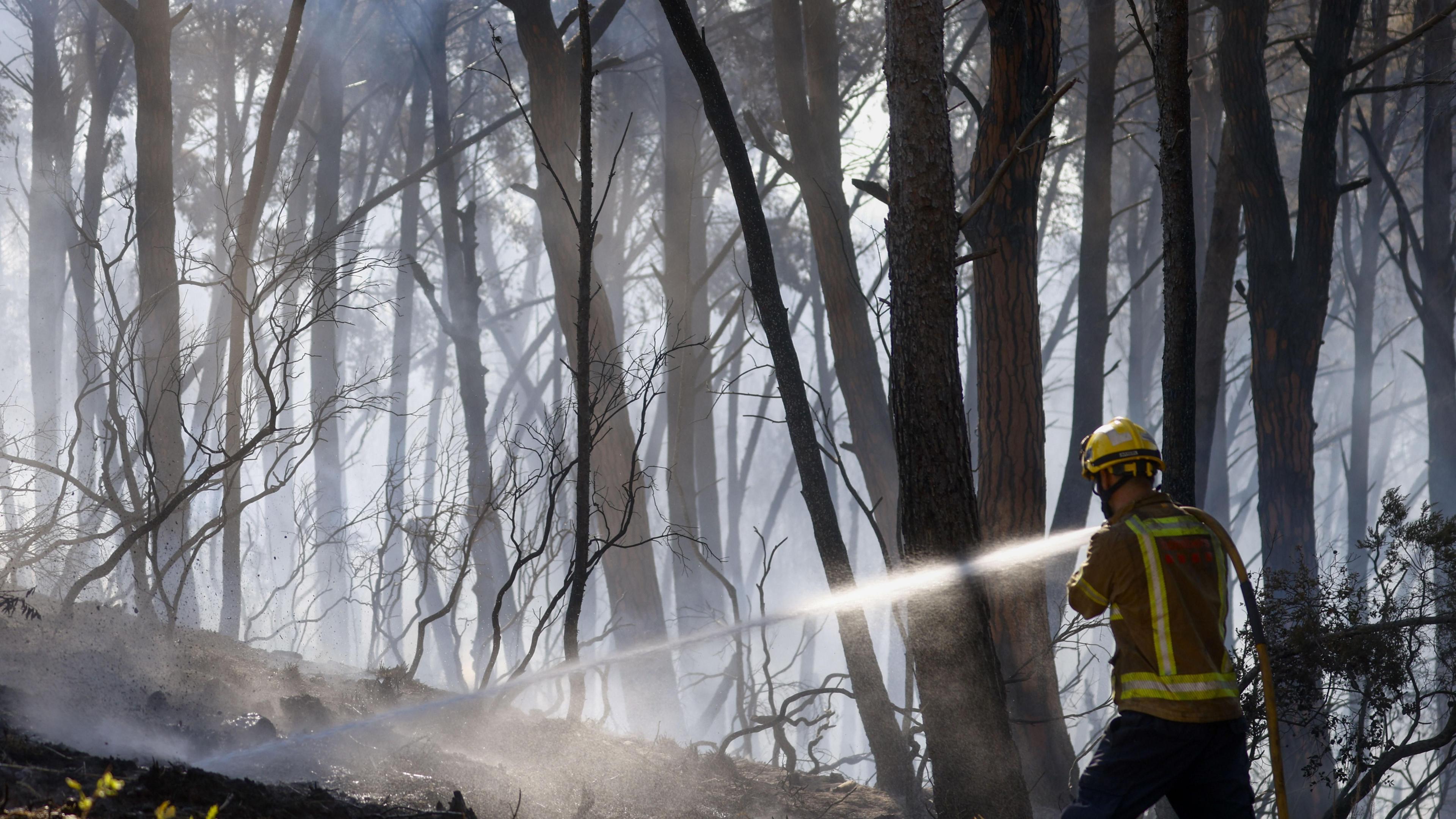 12 People Dead in Spanish Wildfire as Heatwave Continues Across Europe