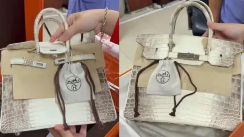 Jailed Vietnamese Tycoon's Hermès Birkin Bags Fetch $535,000 at Government Auction