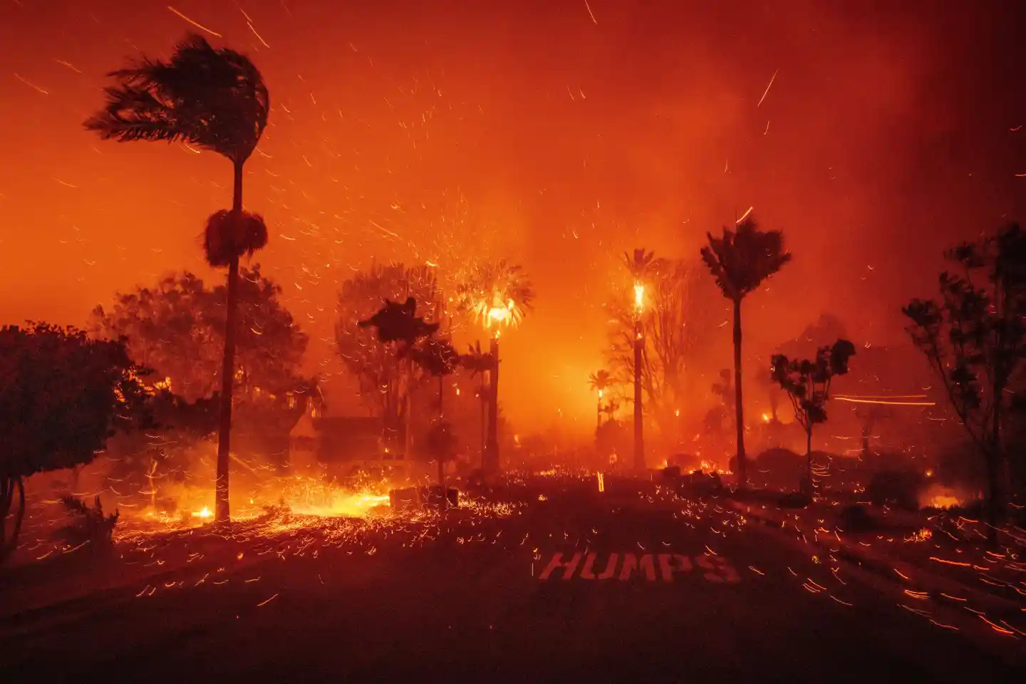 The Lingering Impact of Los Angeles Wildfires: A Year Later