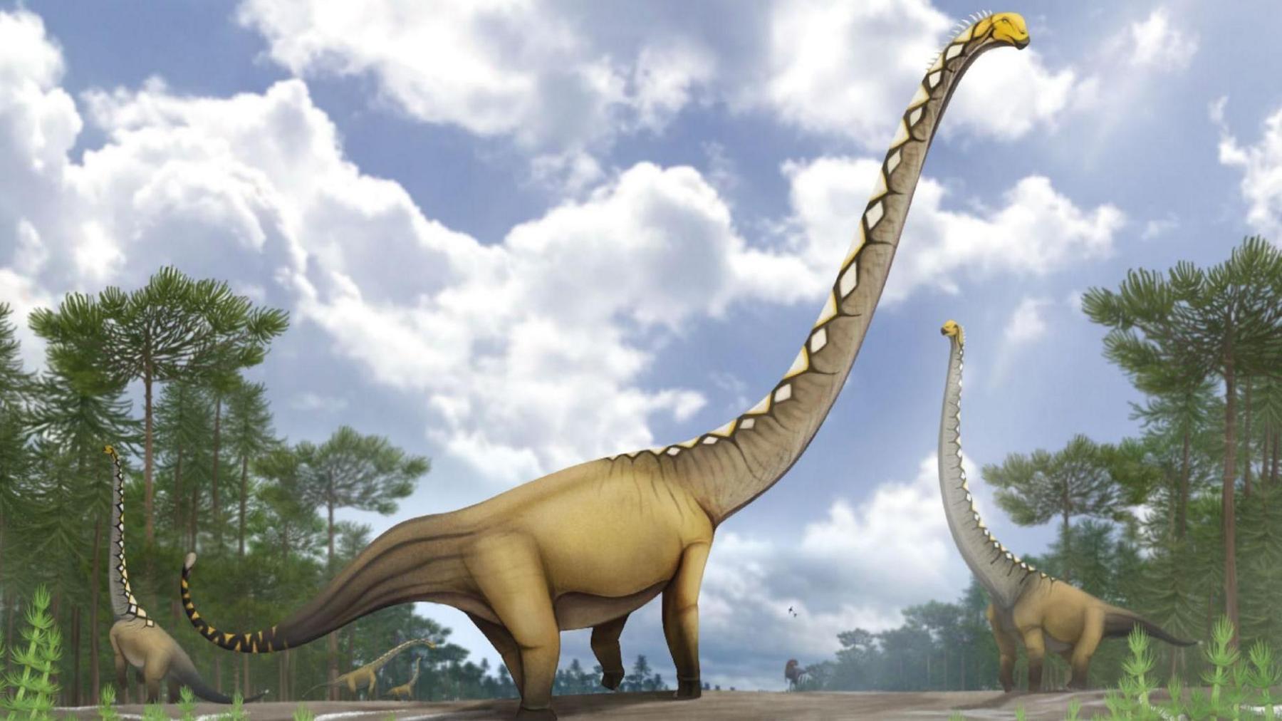 Thailand’s Kalasin Province Yields New Dinosaur Species with Neck as Long as a Cricket Pitch