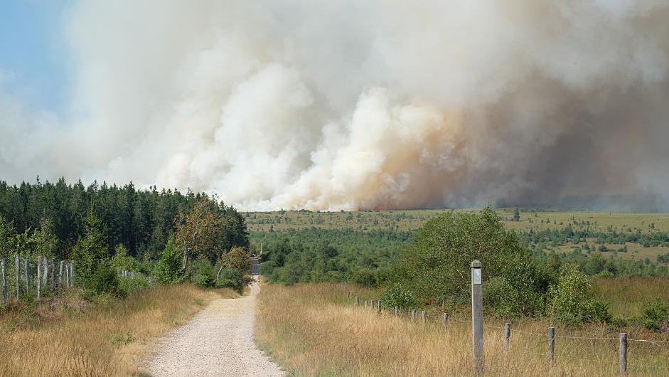 Wildfire Rips Through Belgium's Largest Nature Reserve, Evacuations Ordered