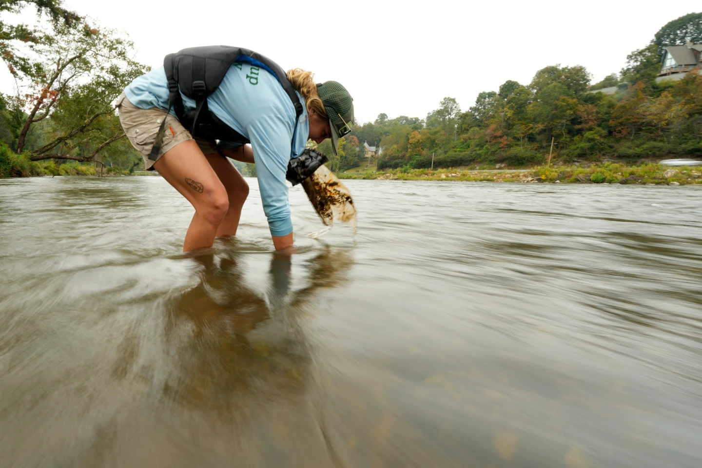 Rivers of Recovery: North Carolina Battles Environmental Aftermath of Hurricane Helene