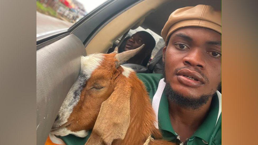 A Nigerian Graduate’s Goat Gift Turns Viral in a Moment of Cultural Celebration