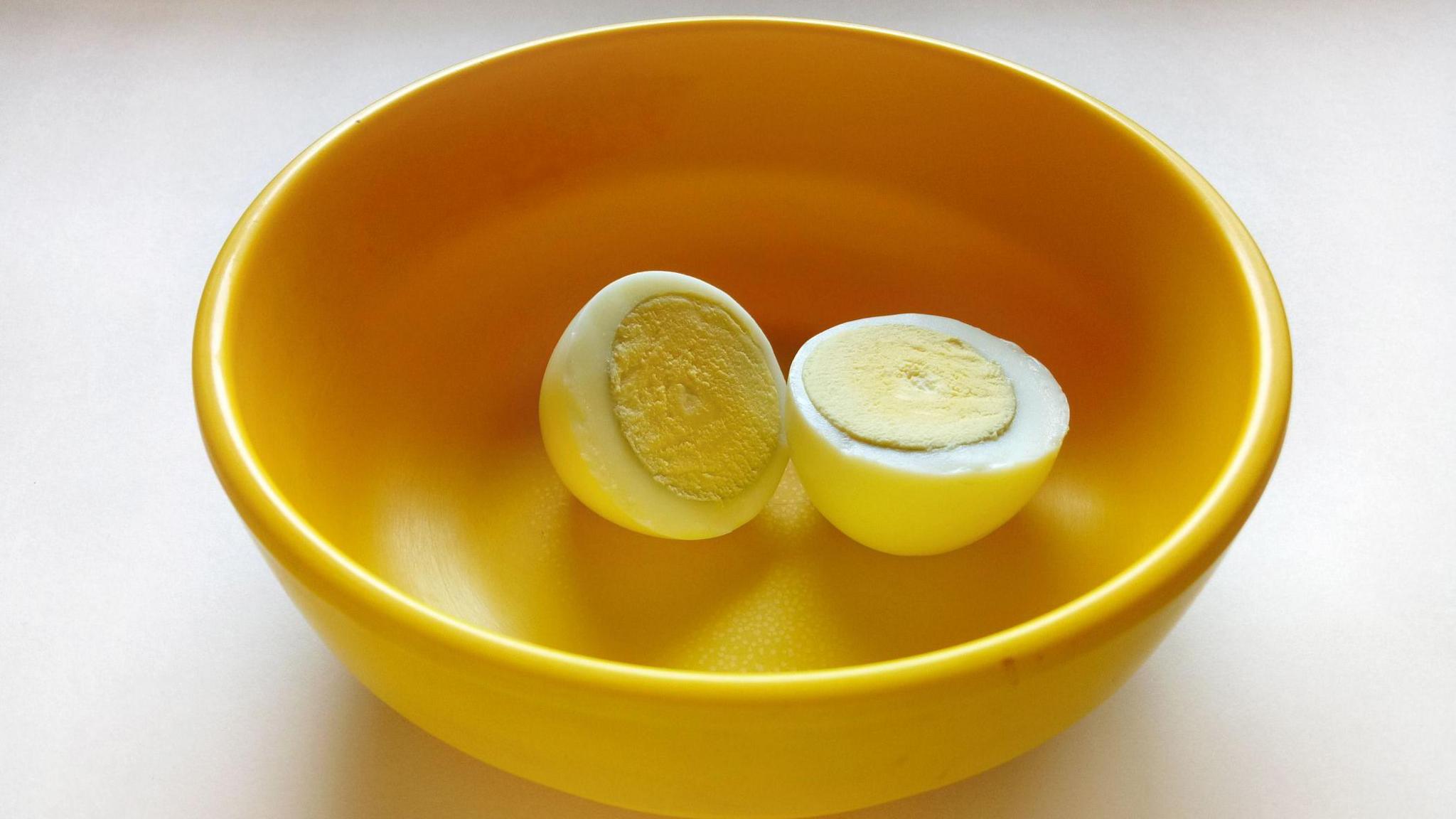 West Bengal’s Egg Ban Sparks Nutrition Debate in School Meals