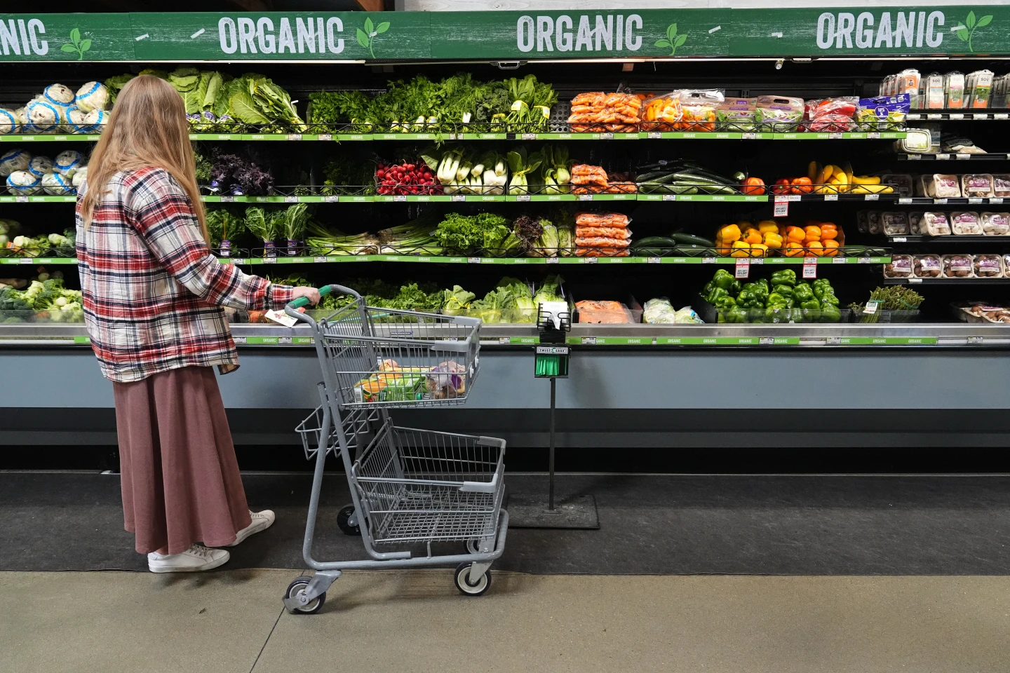 SNAP Benefits in Jeopardy During Government Shutdown as Americans Await Relief